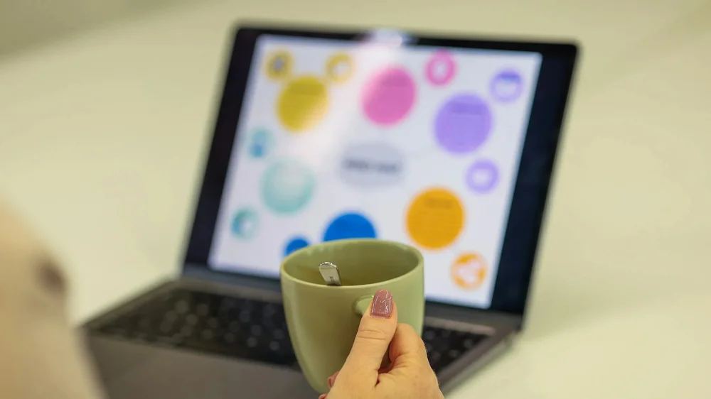 A virtual color analysis session on a laptop screen